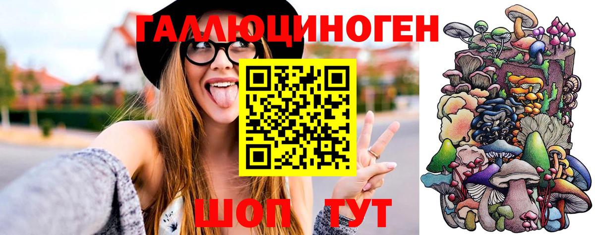 Псилоцибиновые грибы Psilocybe Гудермес
