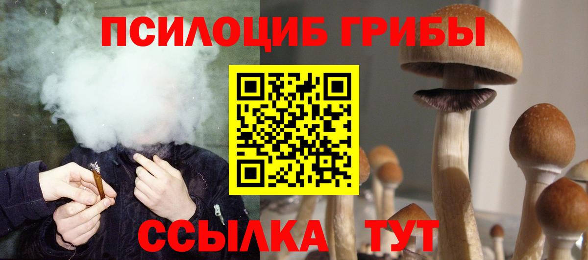 Галлюциногенные грибы ЛСД  Вход с VPN  Гудермес 